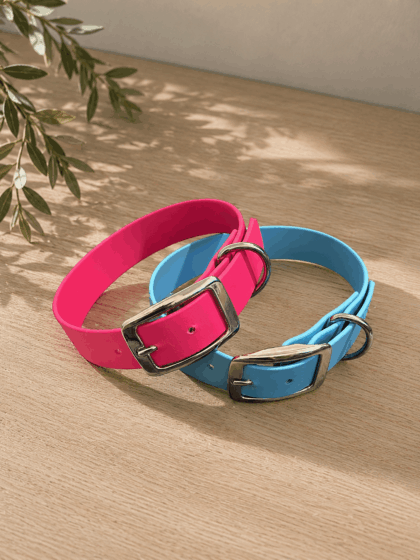 Biothane Halsband