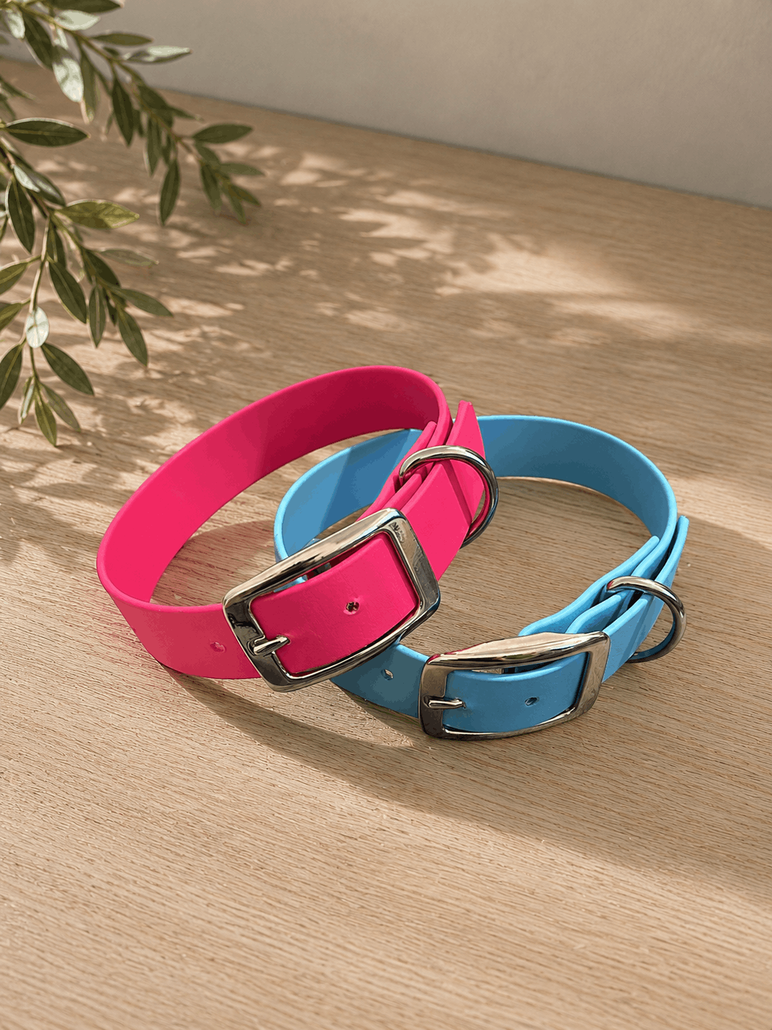 Biothane Halsband