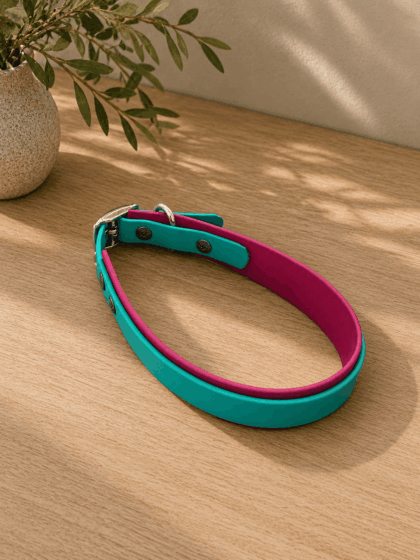 Zweifarbiges Biothane Halsband