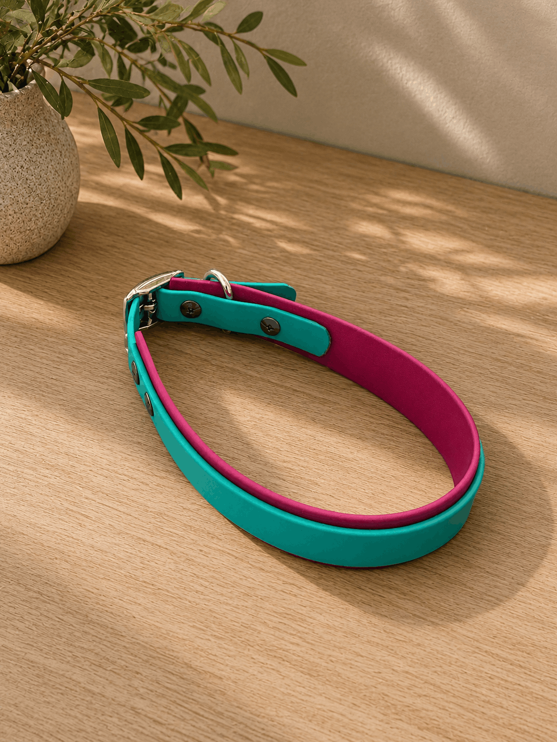 Zweifarbiges Biothane Halsband