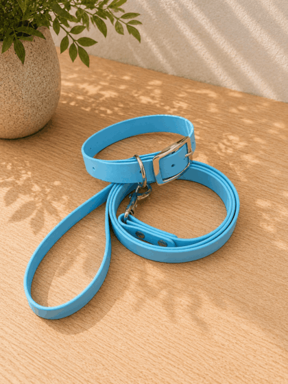 Biothane Leine + Halsband